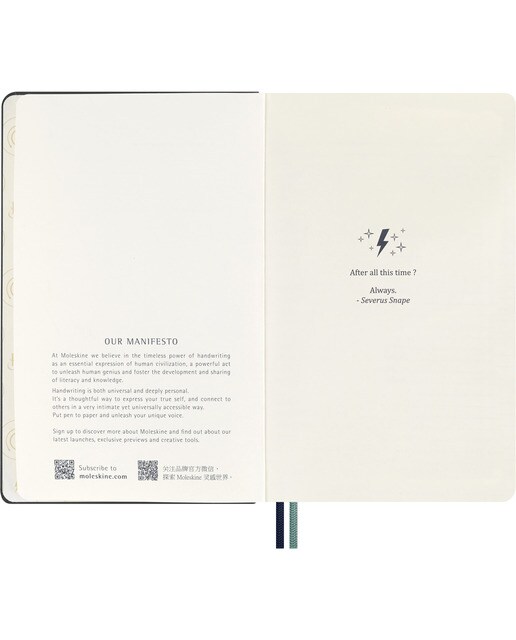 Caderno Edição limitada Harry Potter Expecto Patronum Riscas Azul Azul-4