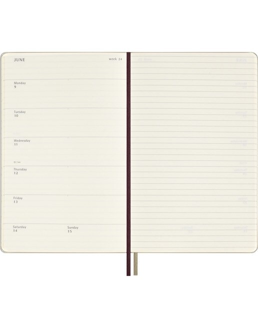 Agenda grande de 2025 semanas com capa dura edição limitada Harry Potter Wingardium Leviosa Moleskine bege em inglês Bege-5