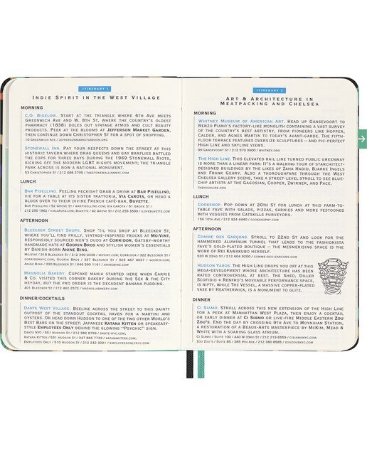 Cuaderno pocket Luxe city Nueva York Moleskine multicolor Multicolor-6
