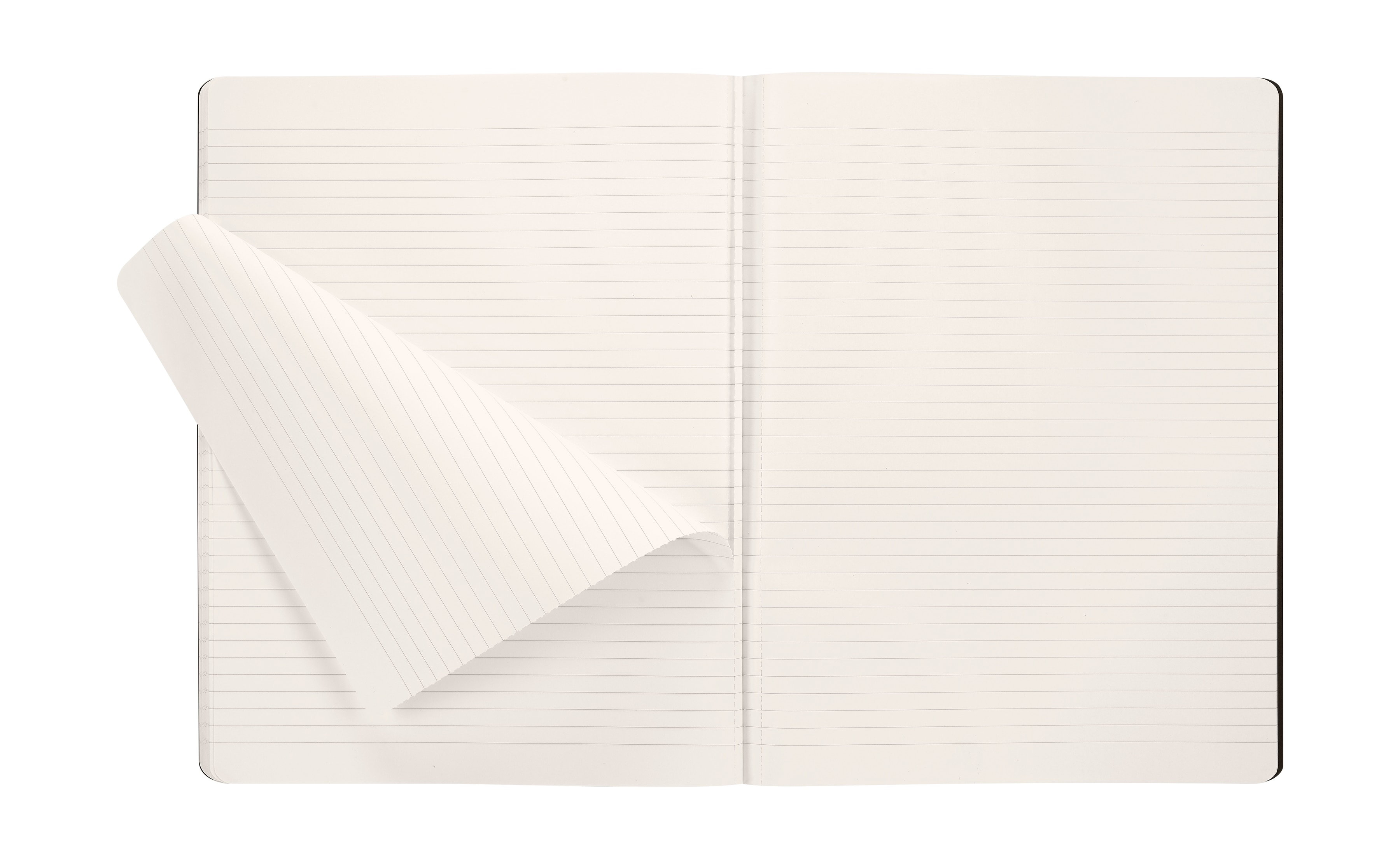 Libreta cahier extralarge hojas rayadas edición limitadaSakura Moleskine multicolor Multicolor-5