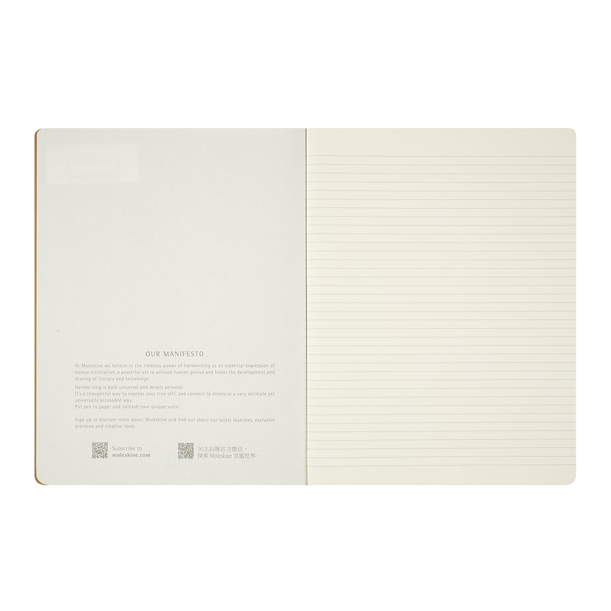 Set de 3 libretas cahier extralarge hojas rayadas Alicia en el País de las Maravillas Moleskine multicolor Multicolor-4