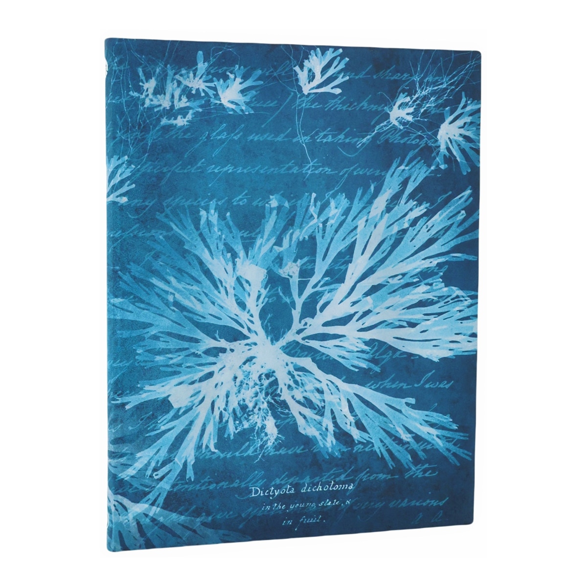 Papelería y Cuadernos de Flores - Alta Calidad - Envío Rápido