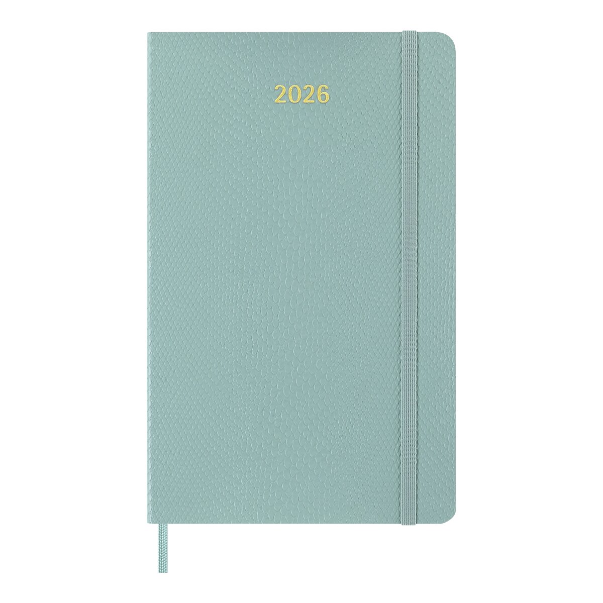 Imagem 0 de Agenda Espiral Acadêmica Grande 2026 Verde Capa Dura