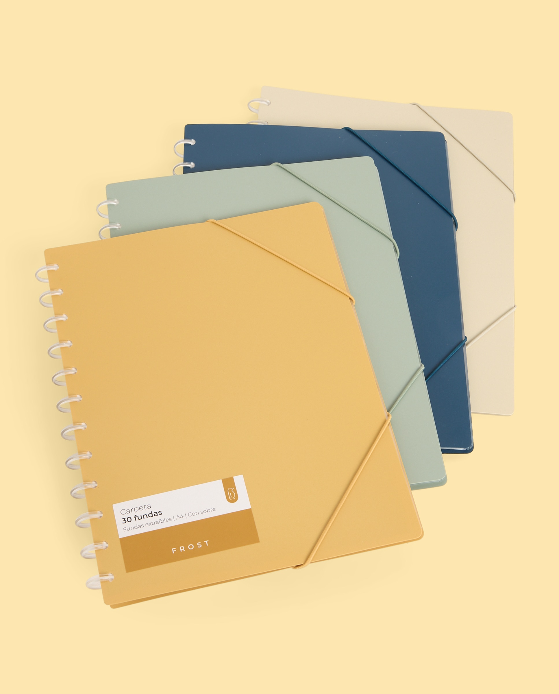 Carpeta 30 Micas Extraíveis Transparentes A4 Frost Branco-3
