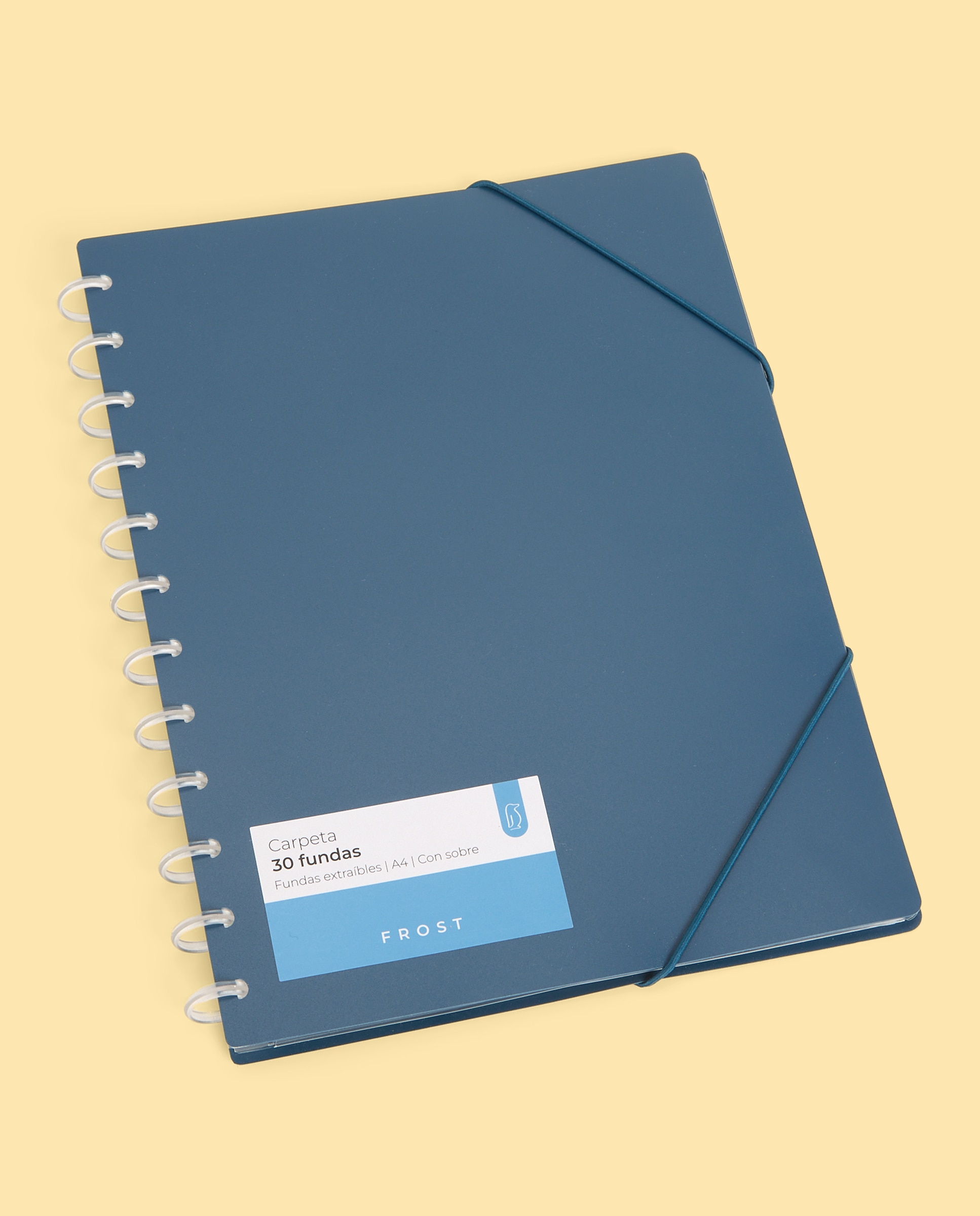 Imagem 0 de Carpeta 30 Micas Extraíveis Transparentes A4 Frost