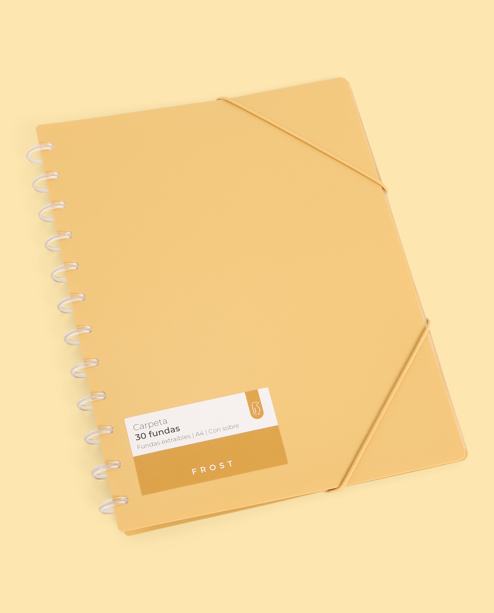 Imagem 0 de Carpeta 30 Micas Extraíveis Transparentes A4 Frost
