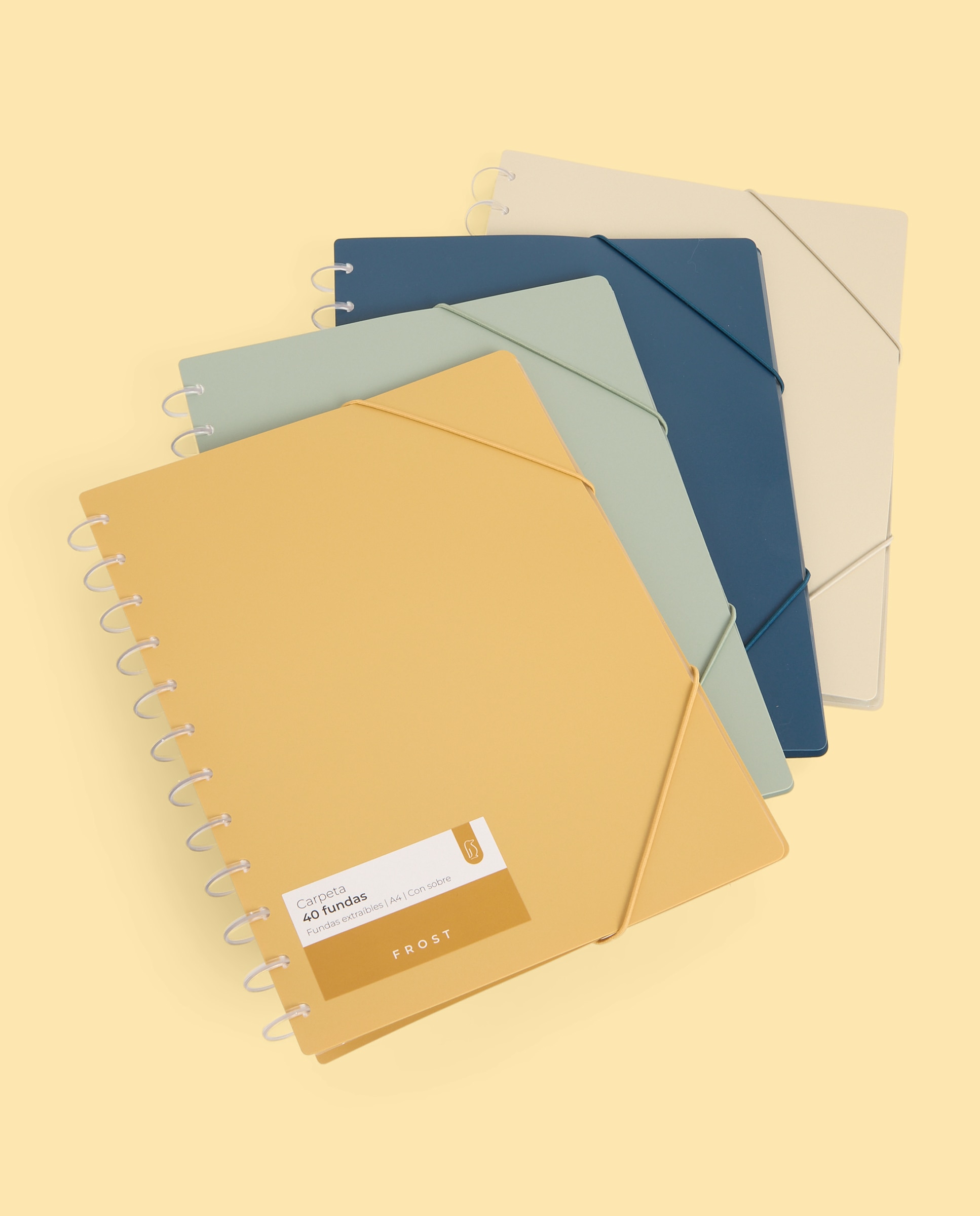 Carpeta 40 Micas Extraíveis Transparentes A4 Frost Branco-3