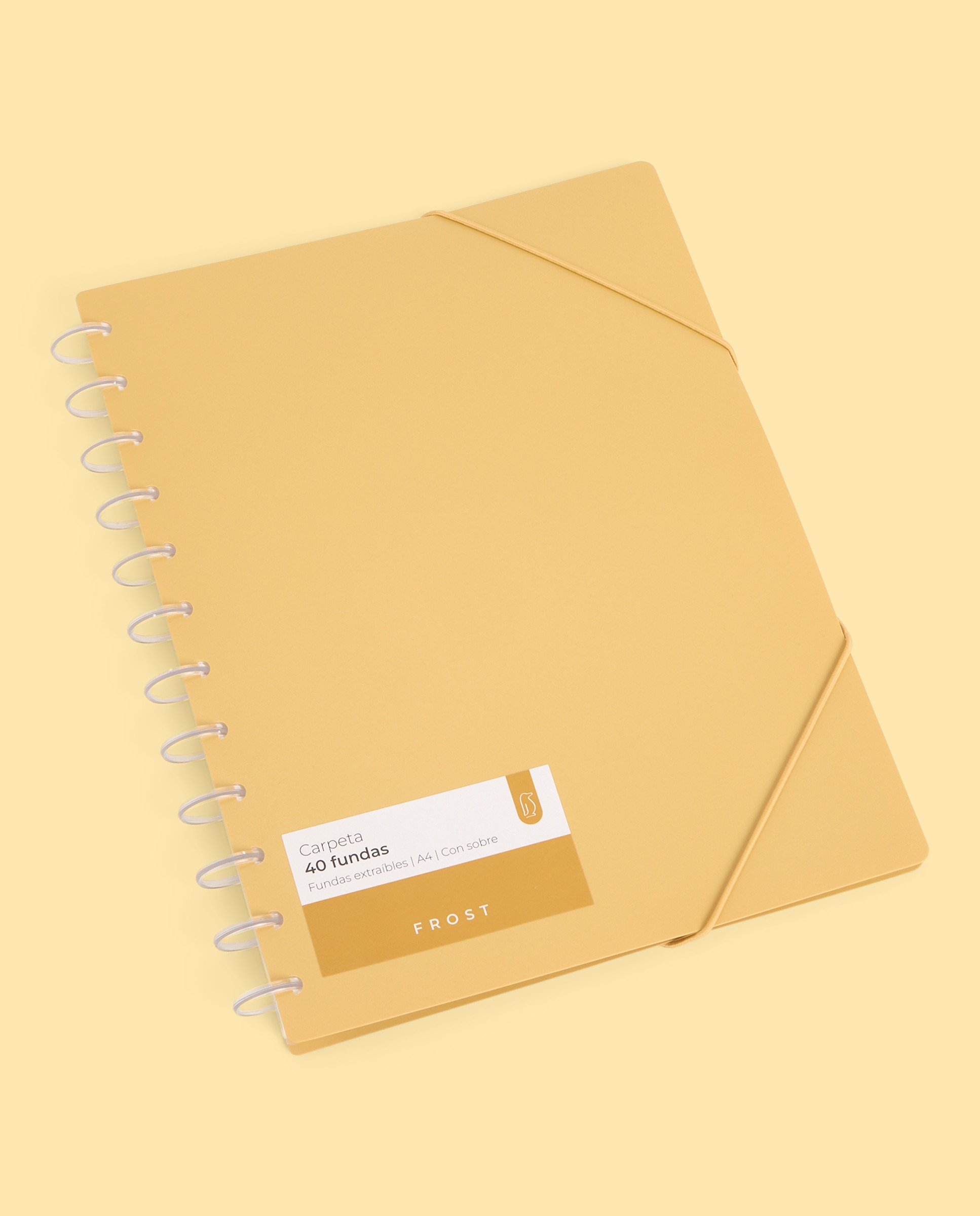 Imagem 0 de Carpeta 40 Micas Extraíveis Transparentes A4 Frost