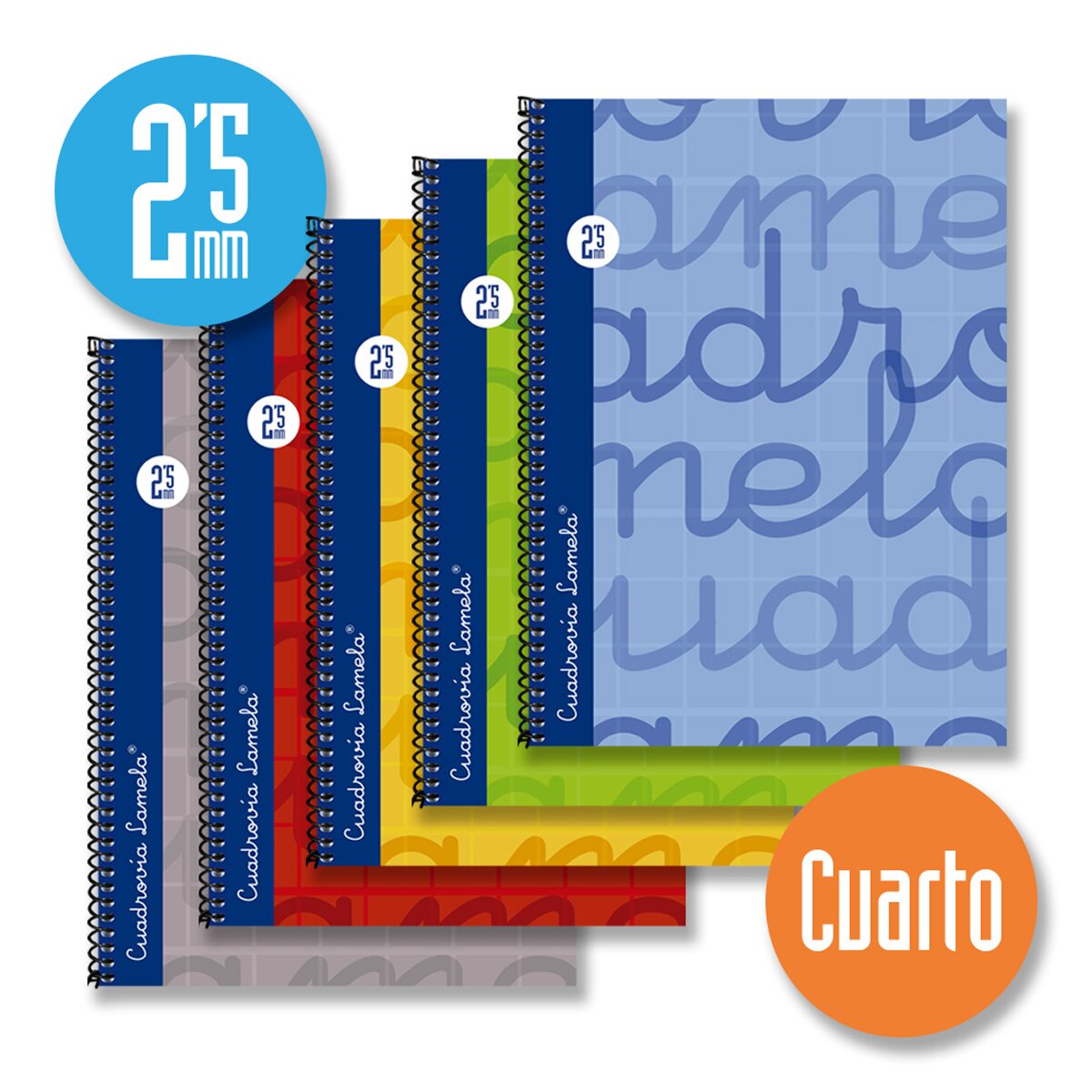 Caderno Espiral Lamela Tamanho Quatro 80 Folhas Cuadrovía 2,5 mm Capa Dura Azul-3