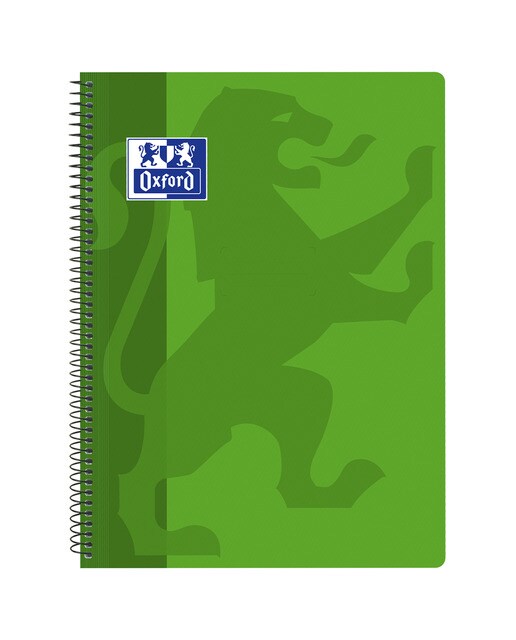 Caderno School Classic Capa de plástico Fólio 80 folhas 4X4 - verde Verde-1