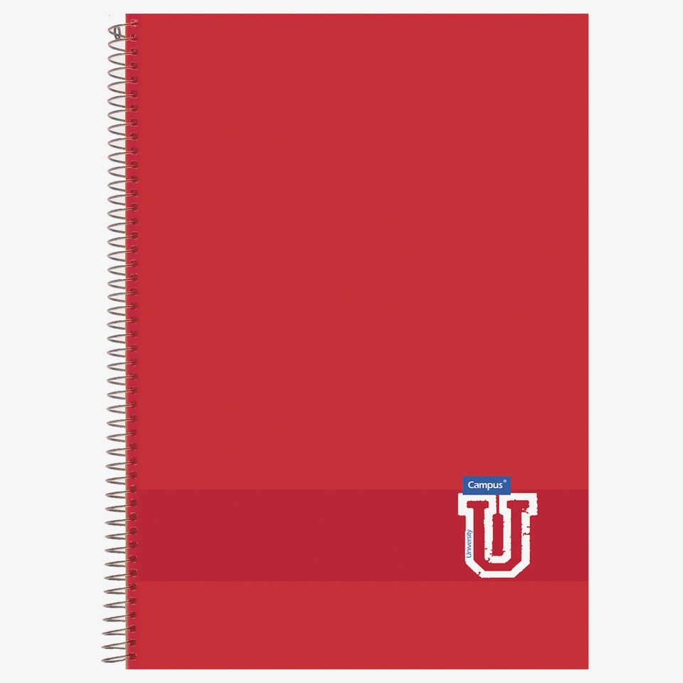 Pack de 3 Cuadernos Campus A4 tapa polipropileno 80 hojas 90 gramos cuadricula 4x4mm colores tendencia 2 3