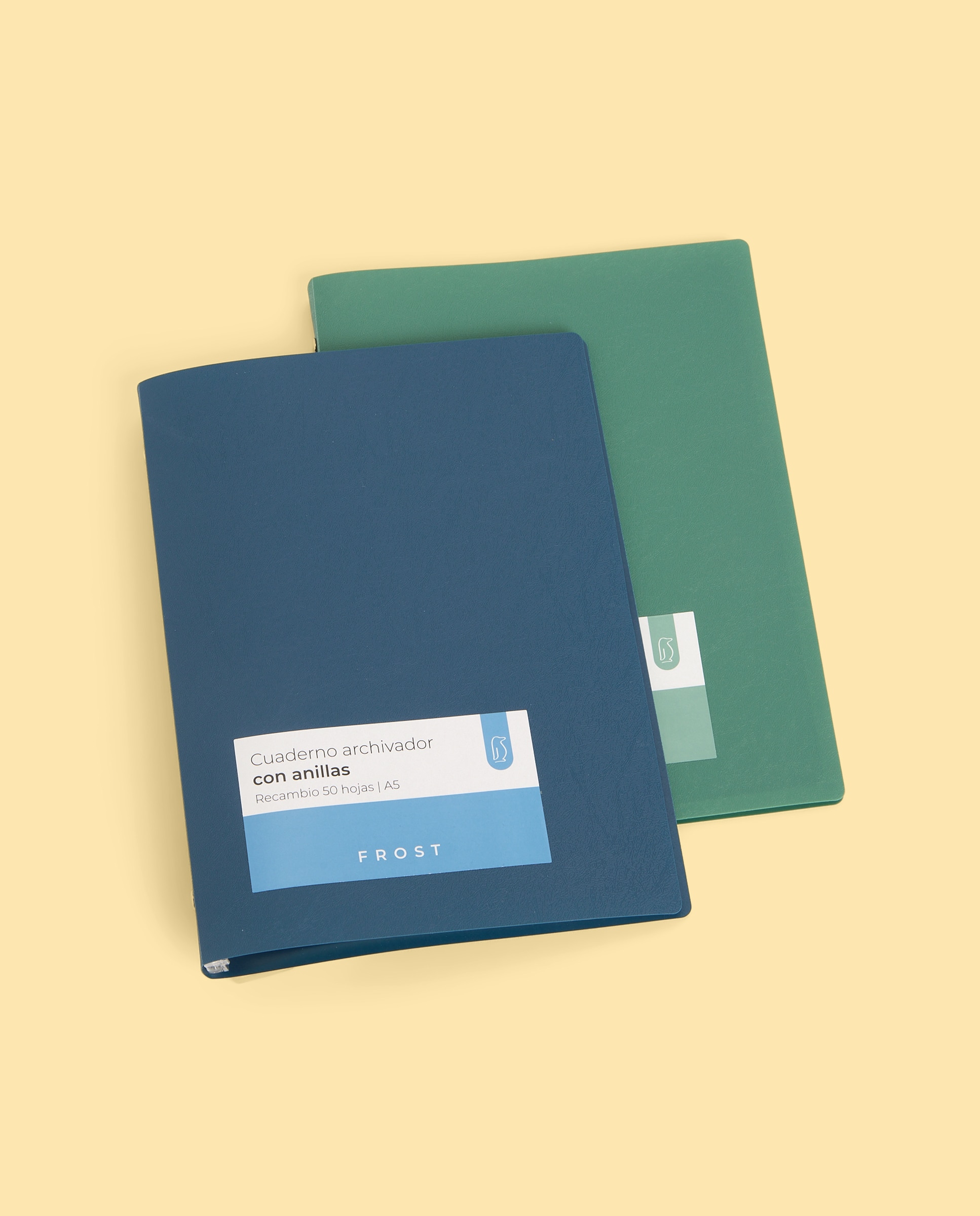 Caderno A5 50 Folhas Frost 3