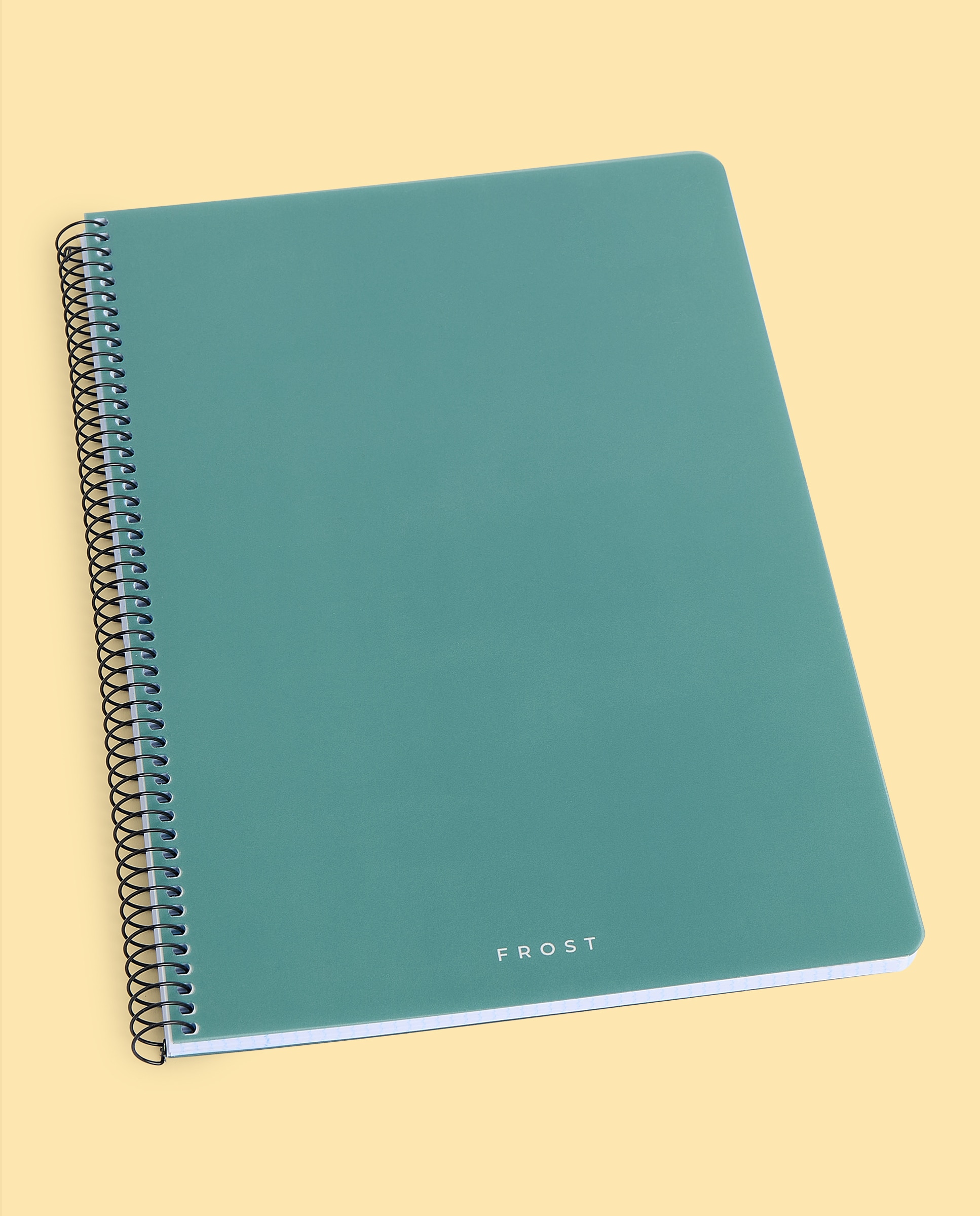 Imagem 0 de Caderno PP Frost Fº 80H/90G 4