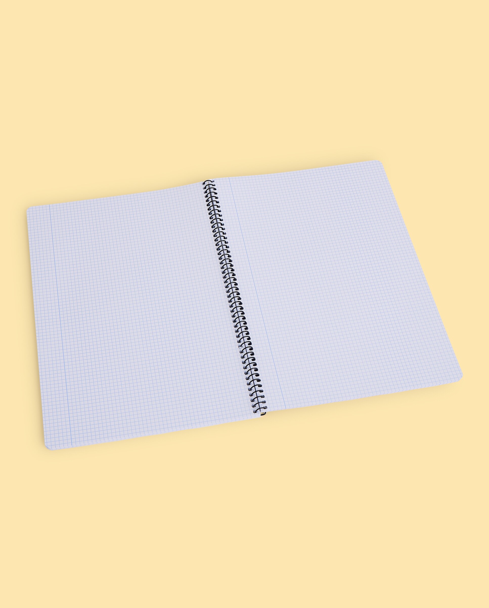 Cuaderno de tapa blanda Frost Fº80H 60G C4 2