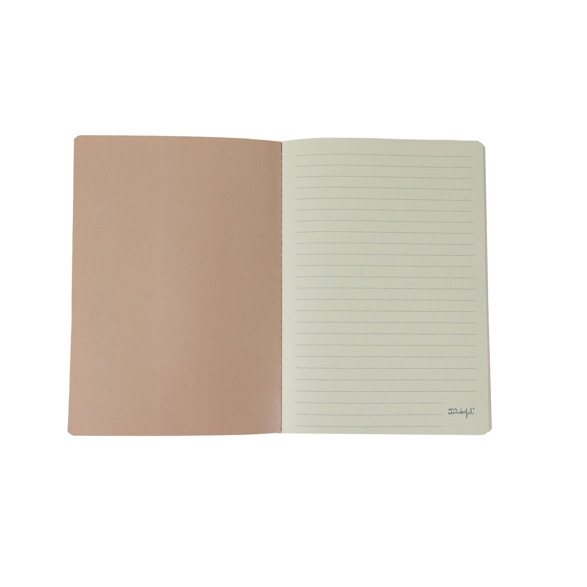Conjunto de 3 cadernos 19x25 cm Mr Wonderful: Very mindful, very demure 13