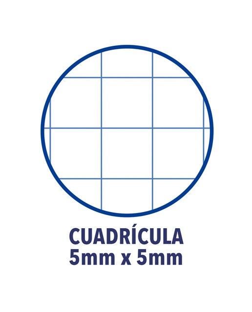 Recambio 200+50 Hojas Paquete A4 5X5 Oxford 5 Colores Banda Vivos - Promo Blanco-2