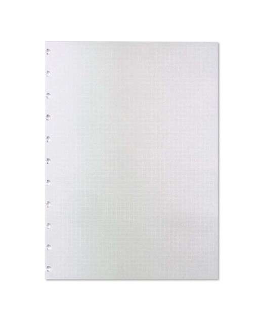 Imagem 0 de Recarga quadriculada grande 120 gr Caderno Inteligente