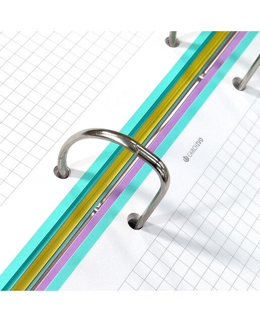 Dossier com Estampado e em Polipropileno Foam 8