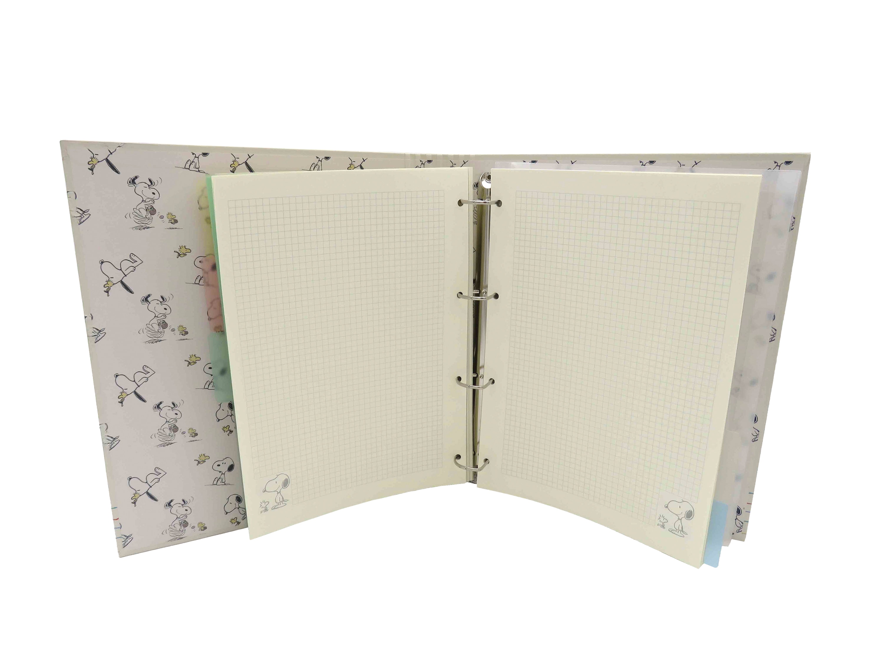 Pasta Carpblock A4 Bege-3