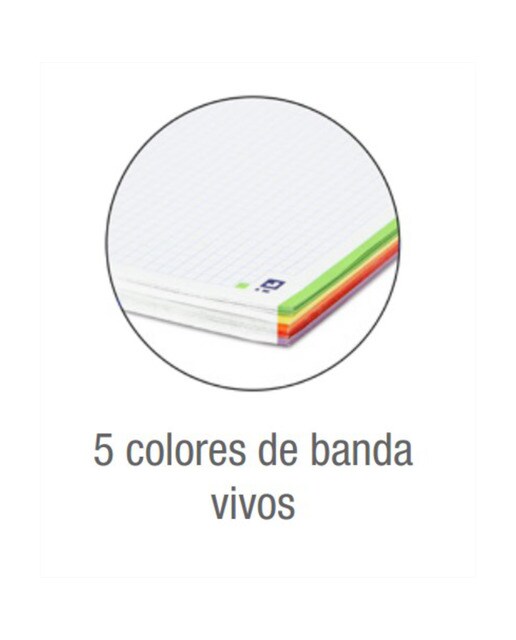 Caderno Microperfurado Europeanbook5 A4+ Oxford&You Capa Extradura 120 Folhas Quadrícula 5X5 - Cores Pastel Sortido-2
