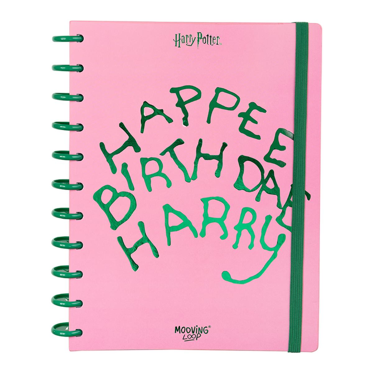 Imagem 0 de Caderno com argolas 20,8 x 28 Harry Potter Mooving