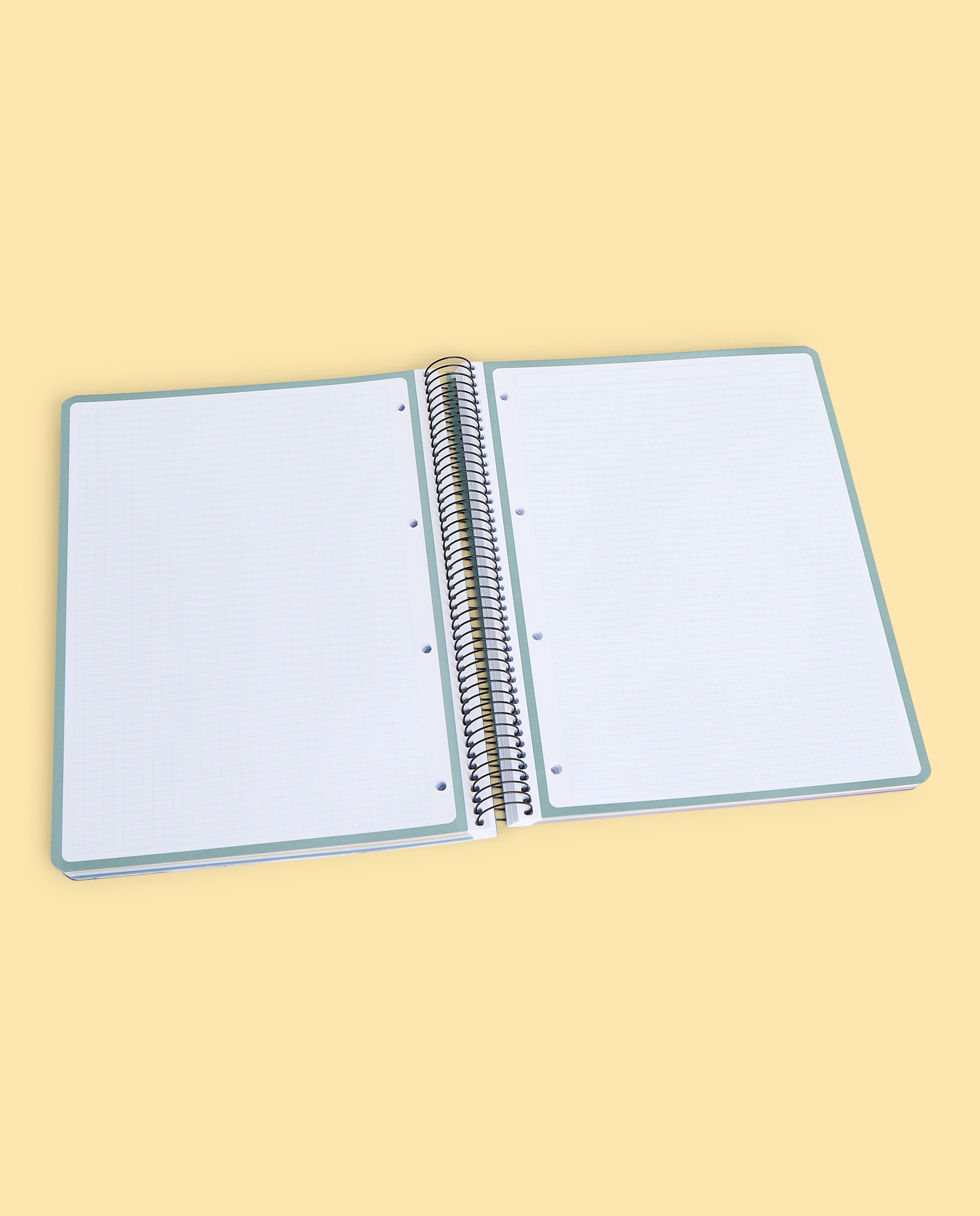 Caderno A4 PP 160H/90G 5X5 8B.COL 2