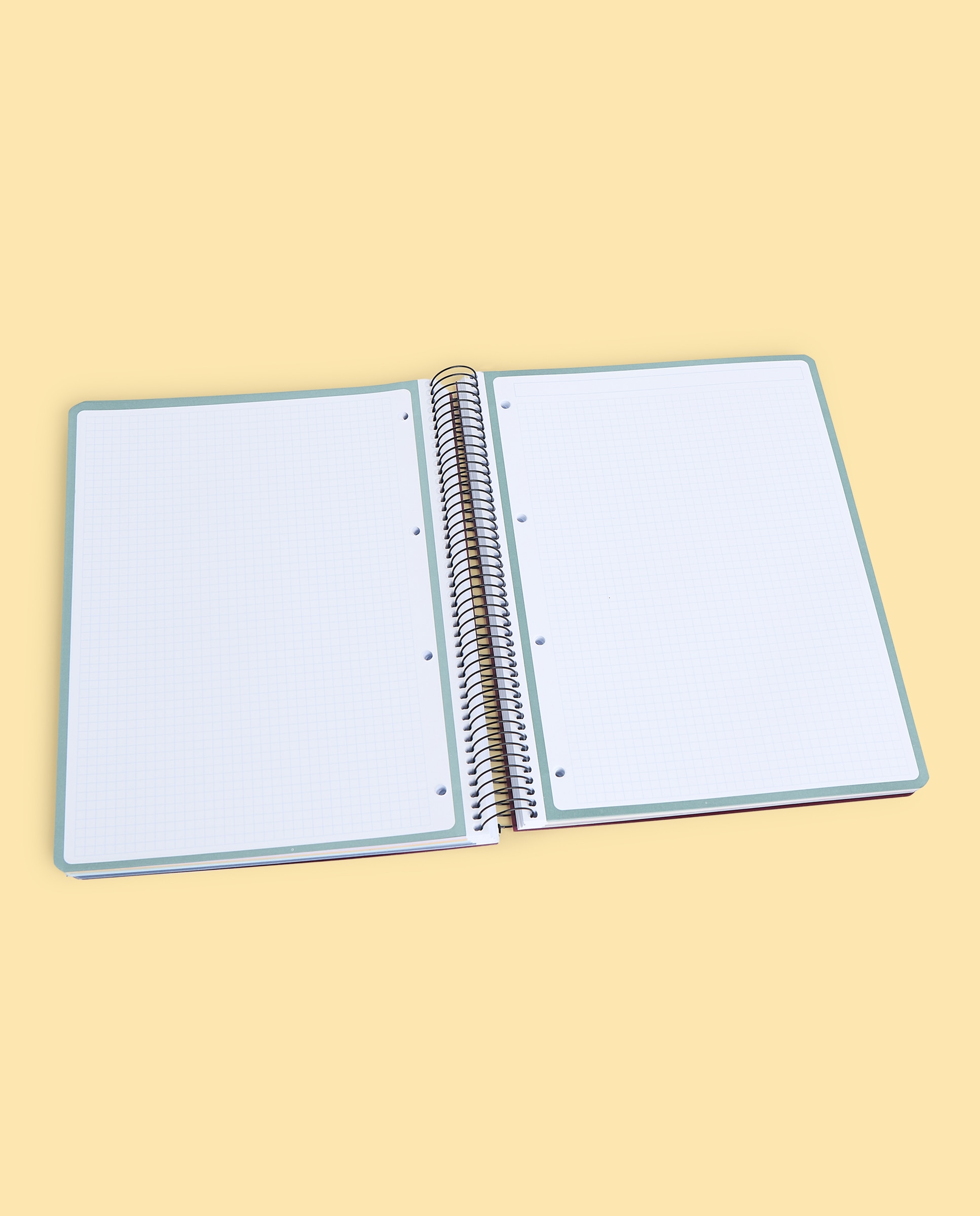 Caderno A4 PP 160H/90G 5X5 8B.COL 2
