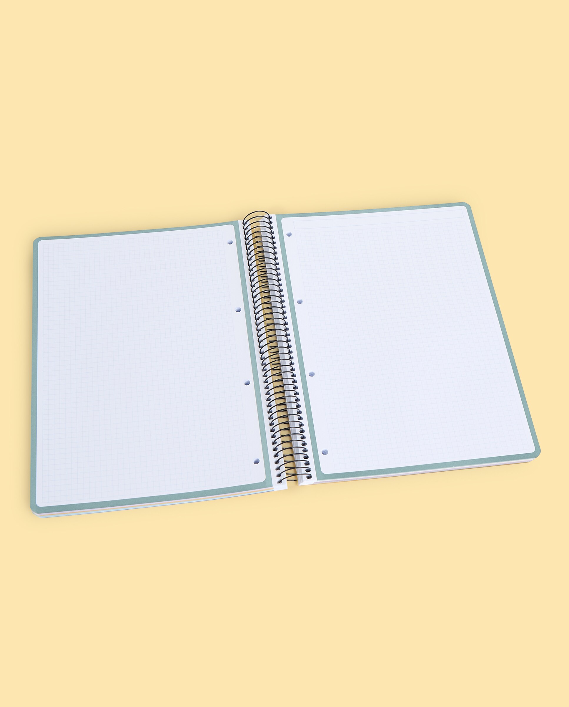 Caderno A4 PP 160H/90G 5X5 8B.COL 2