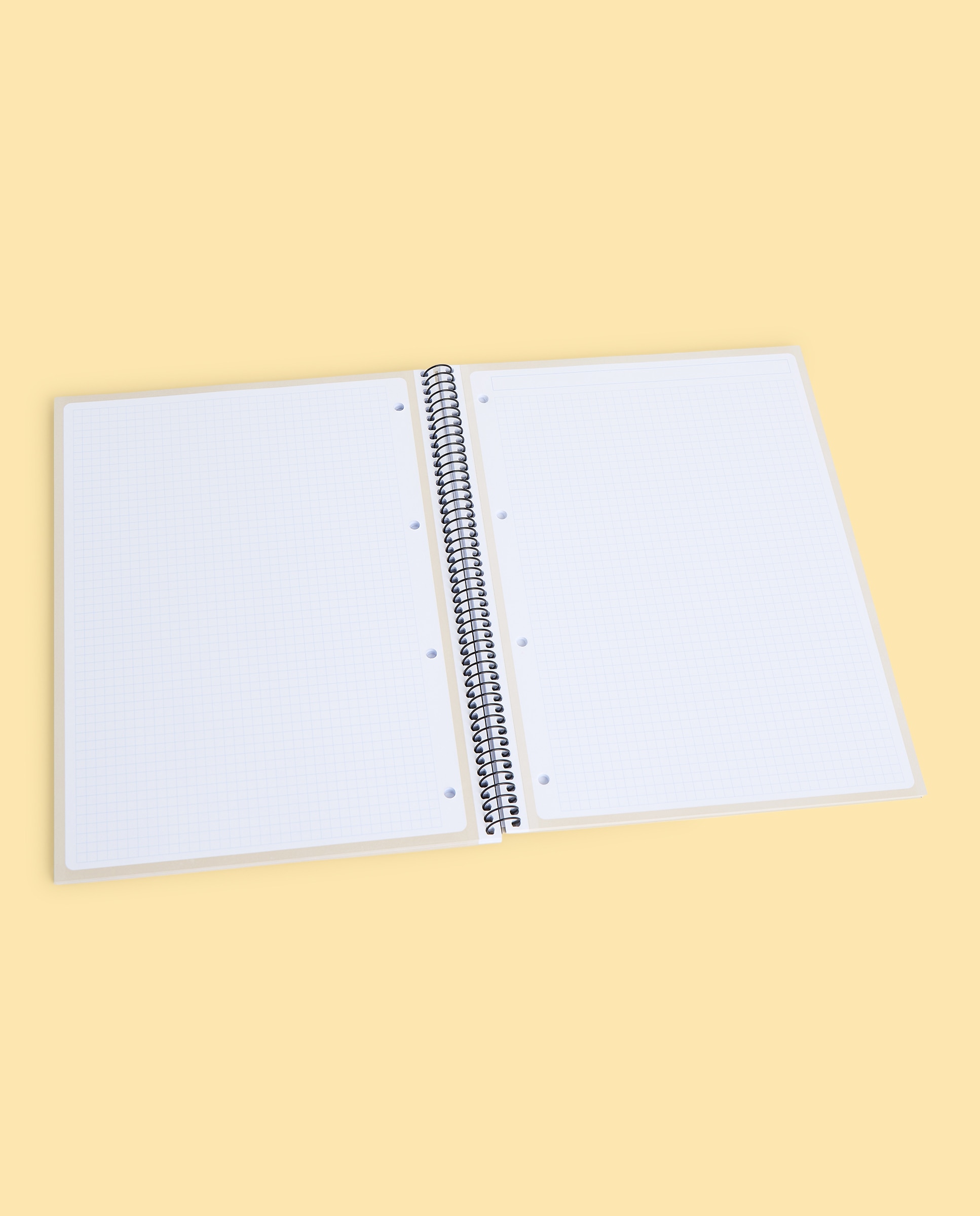 Caderno A4 TFOR Frost 80H/90G 5X5 2