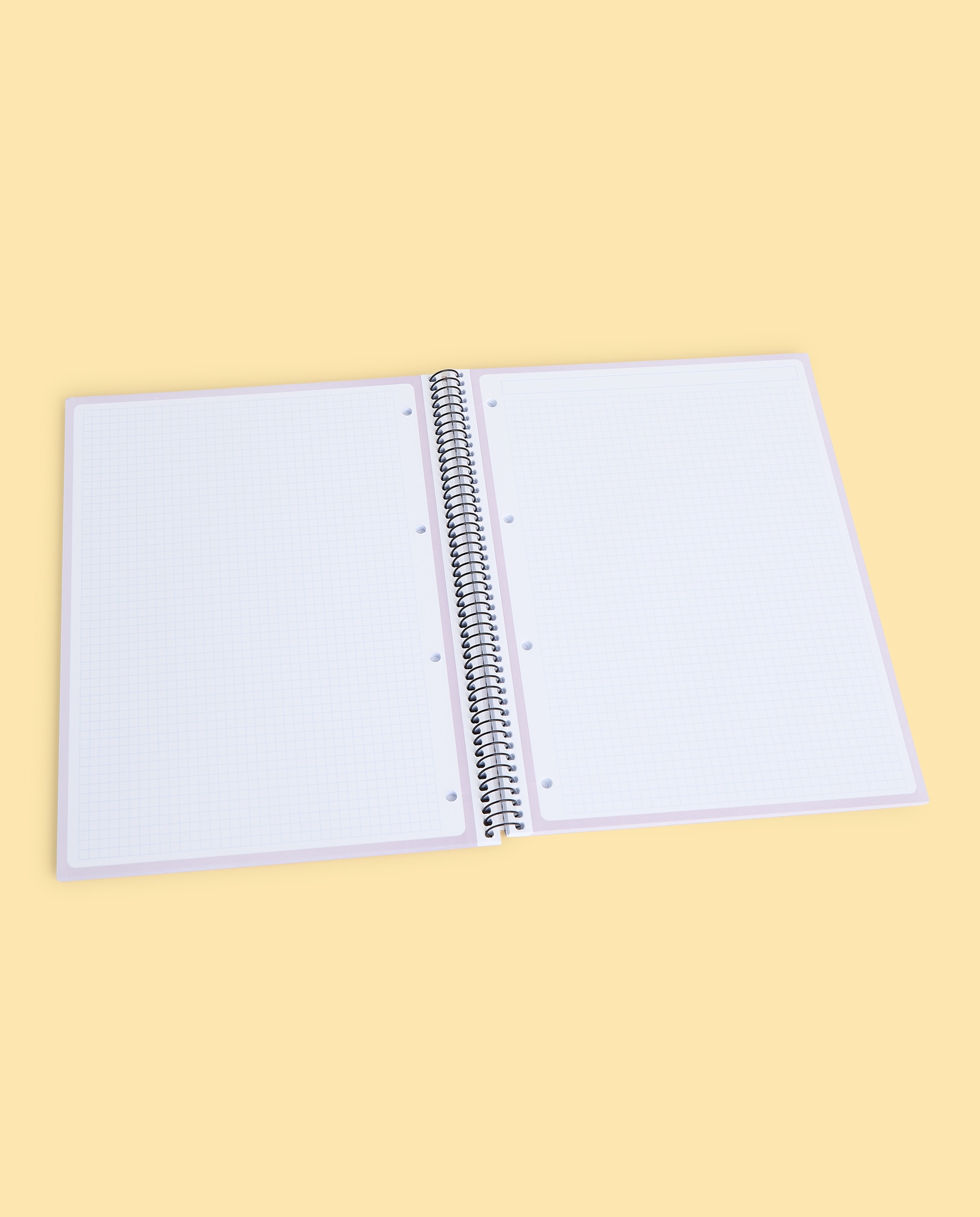Caderno A4 TFOR Frost 80H/90G 5X5 2