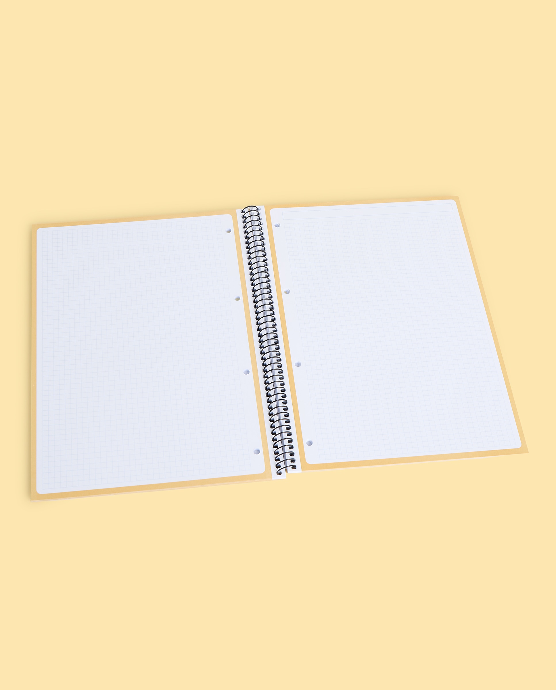 Caderno A4 TFOR Frost 80H/90G 5X5 2