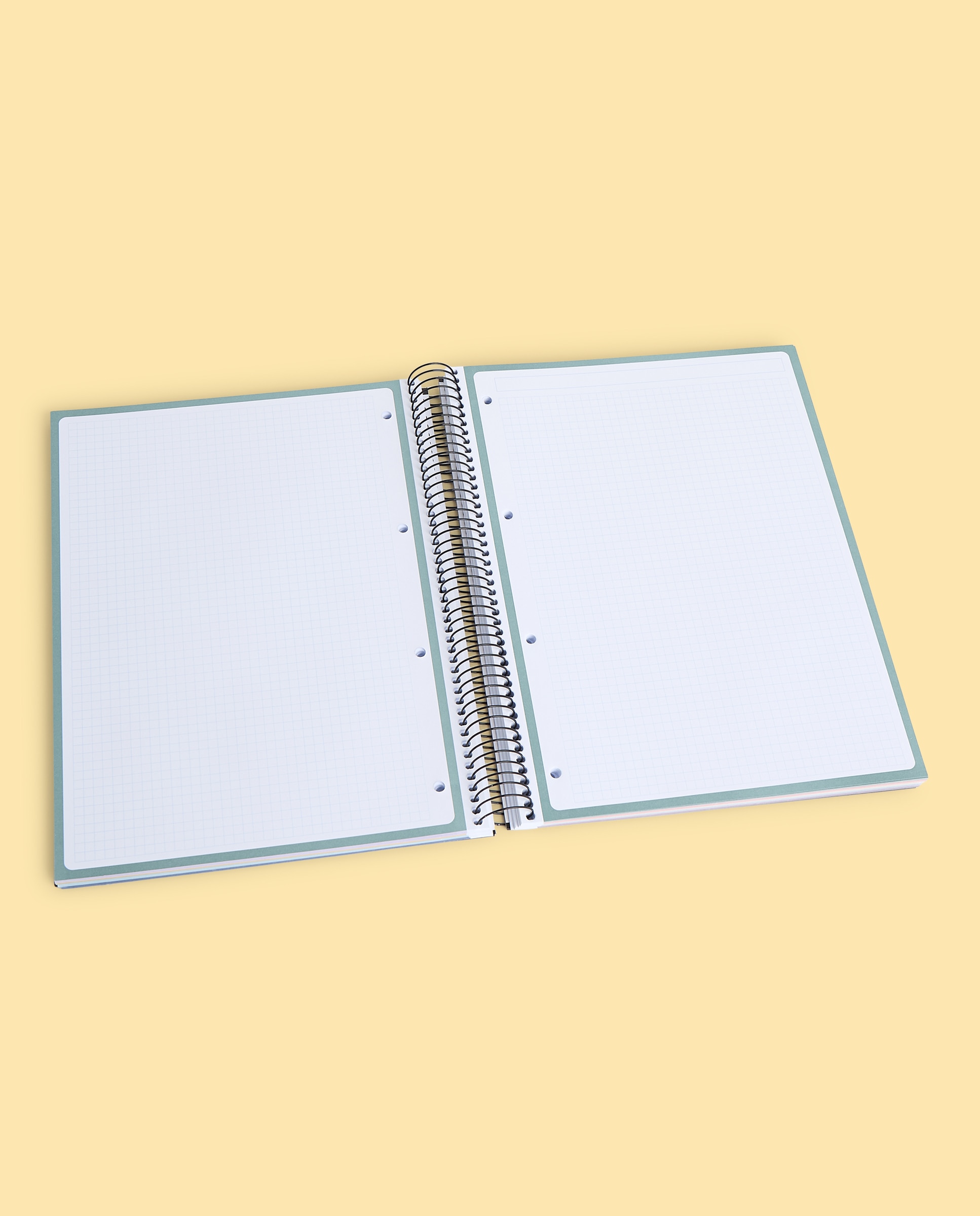 Caderno A4 TFOR Frost 150/90G 5X5 2