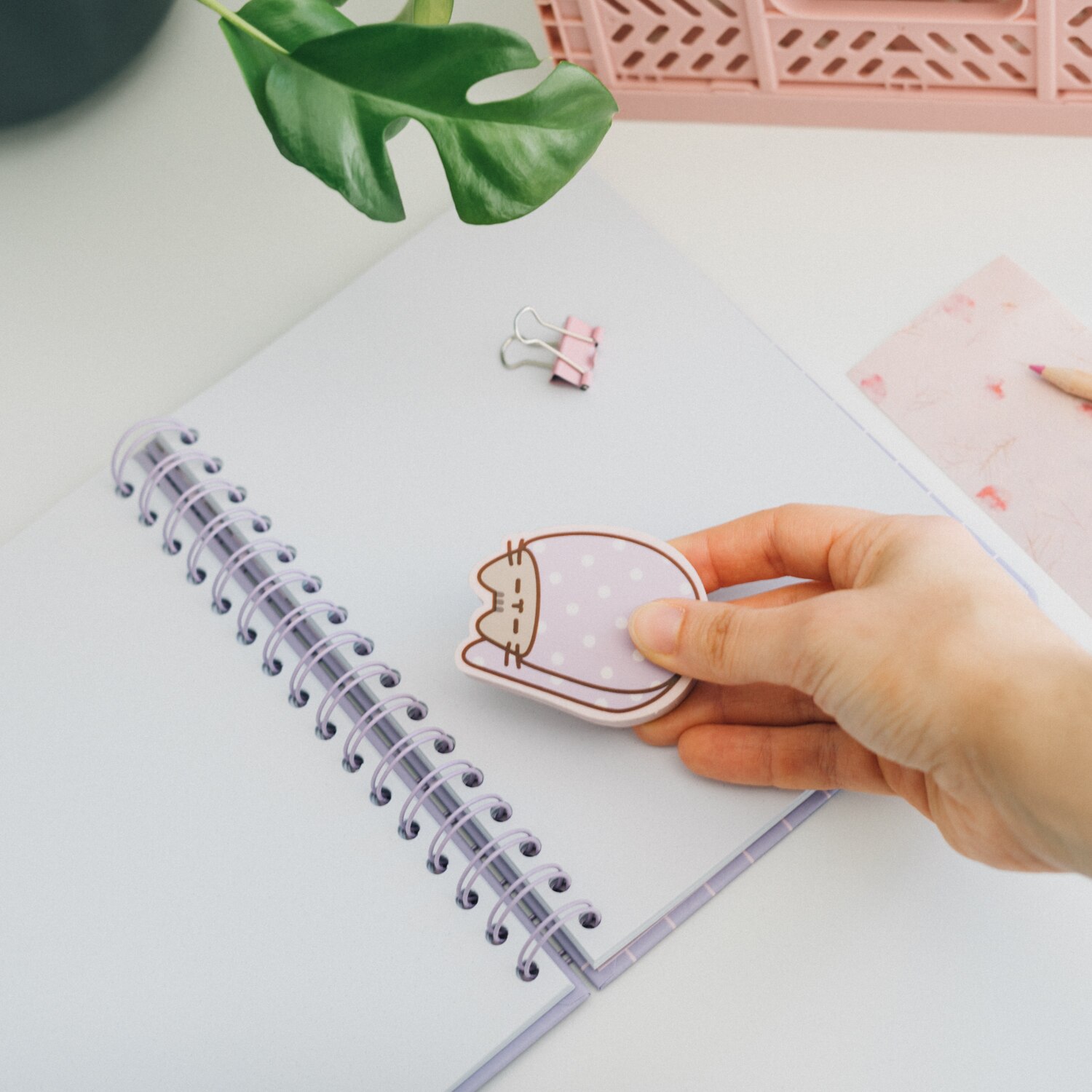 Set de gomas de borrar Pusheen Moments Erik lila Lila / Rosa-6
