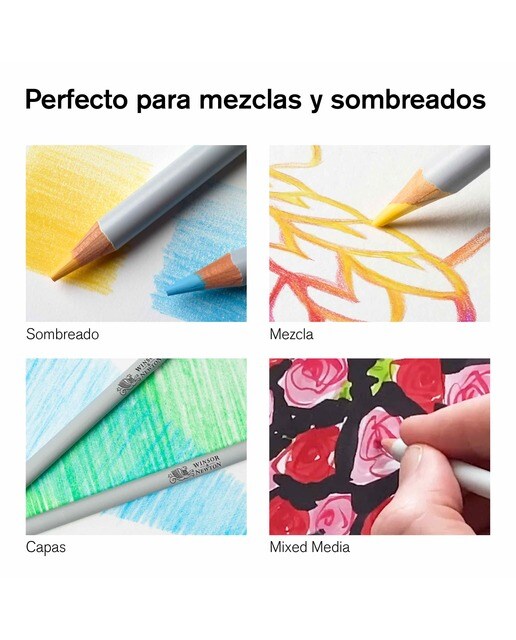 Conjunto de 24 Lápis de Cor Winsor&Newton 4