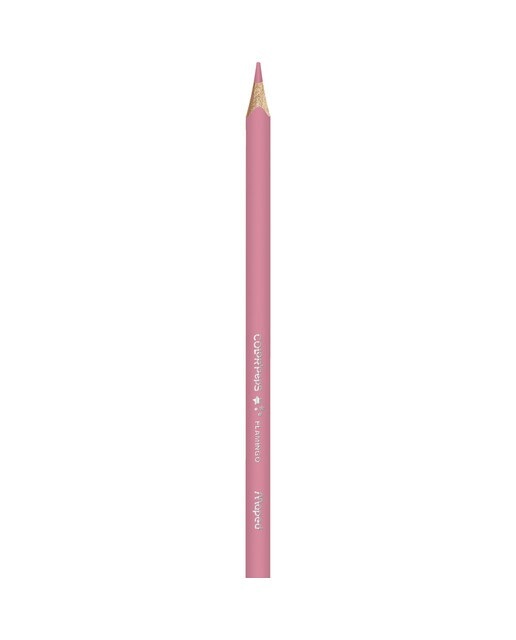 Lápis de Cores - Pastel Multicolor-4