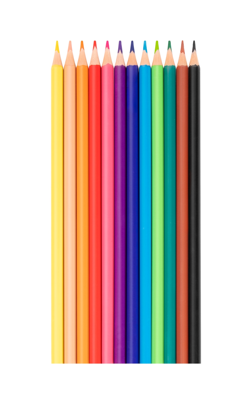 Lápis Woodless 12 lápis Jovi Multicolor Multicolor-3