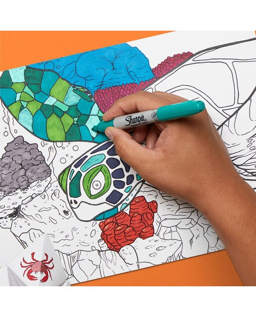 Caixa de 18 canetas de FeltroPermnente Sharpie Fine - Multicolor Multicolor-11
