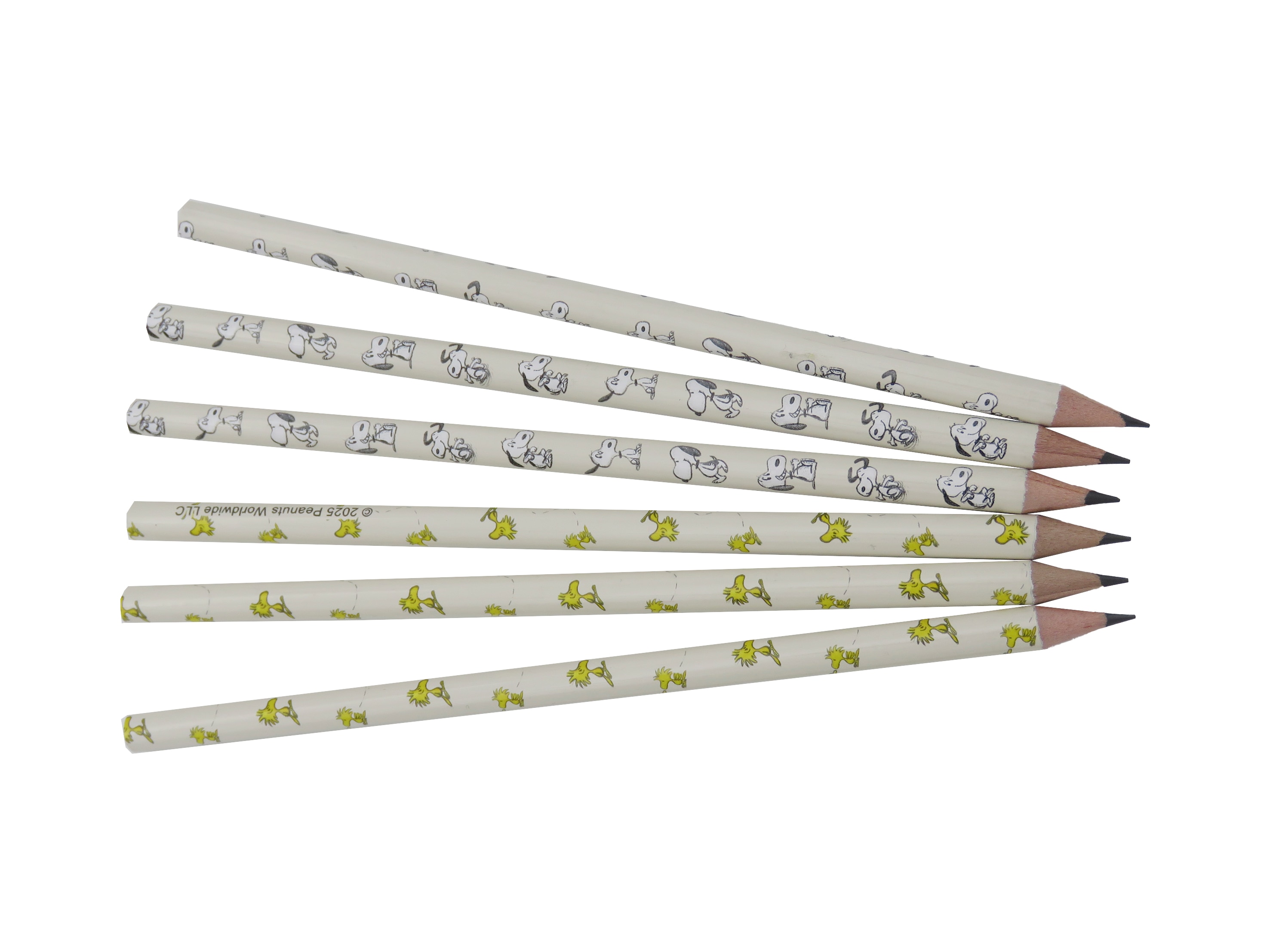 Pack de 5 Lapis em Caixa Bege-3