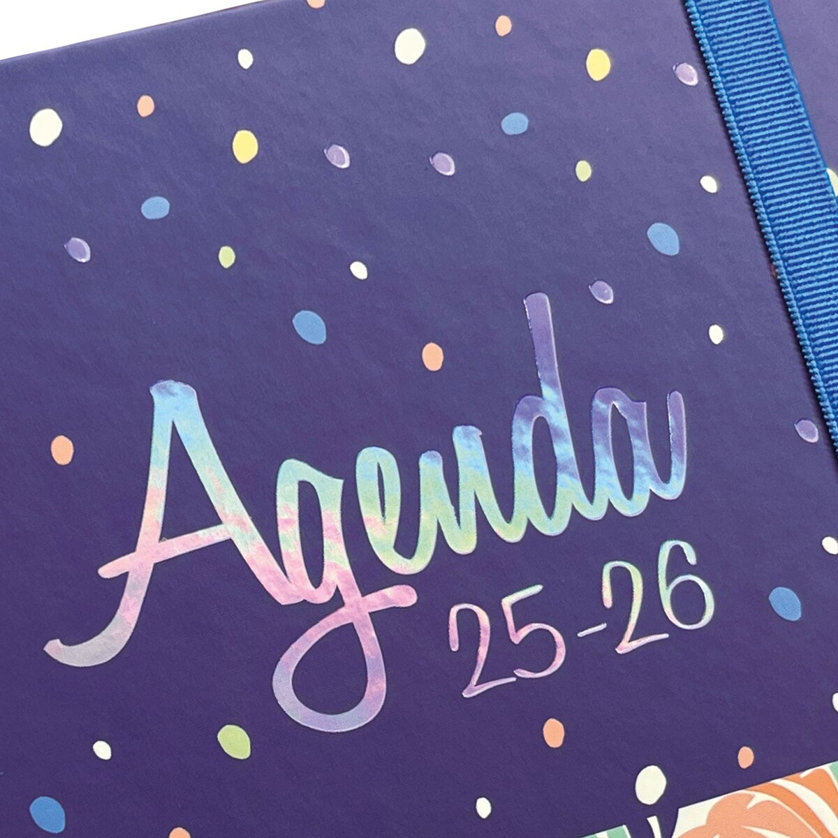 Agenda De Citas 2025-2026, Semanal, Diaria Por Hora Color De