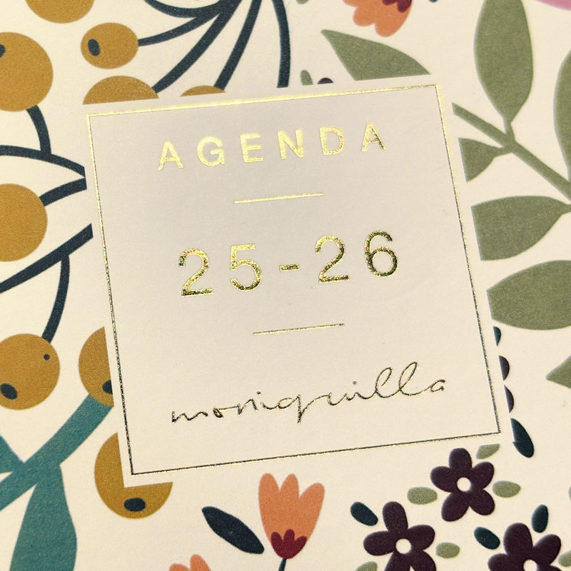 Agenda curso 2025-2026 Moniquilla E10-155x212 mm semana vista horizontal Jardín Finocam Multicolor-9