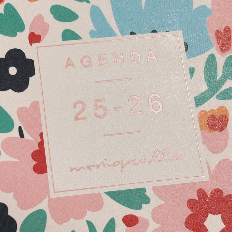 Agenda curso 2025-2026 Moniquilla E10-155x212 mm 1 día página Dalia Finocam Multicolor-9