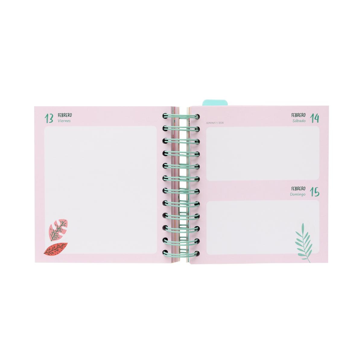 Agenda escolar 2025/2026 día página M 11 meses Amelie Erik azul Azul / Rosa-2