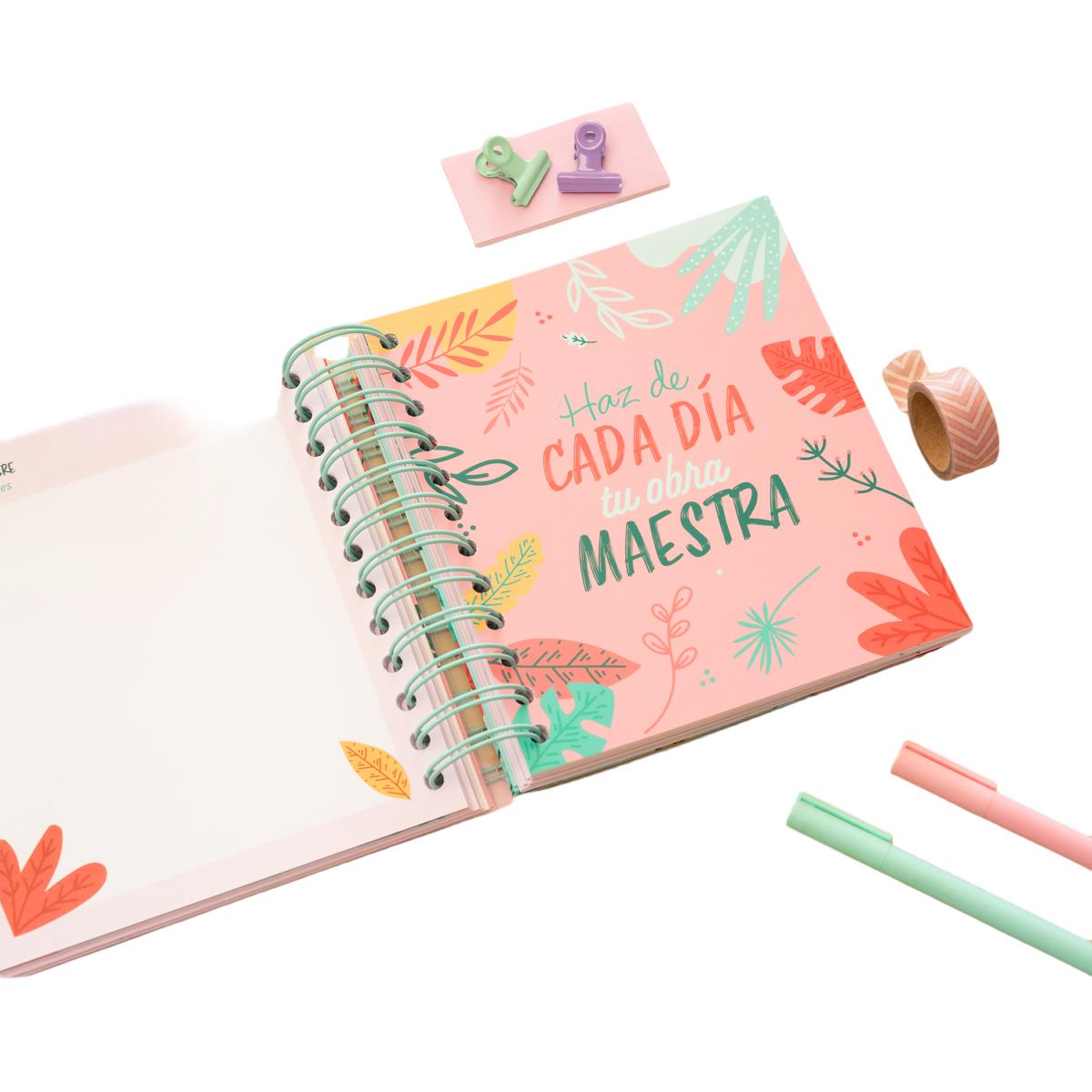 Agenda escolar 2025/2026 día página M 11 meses Amelie Erik azul Azul / Rosa-5