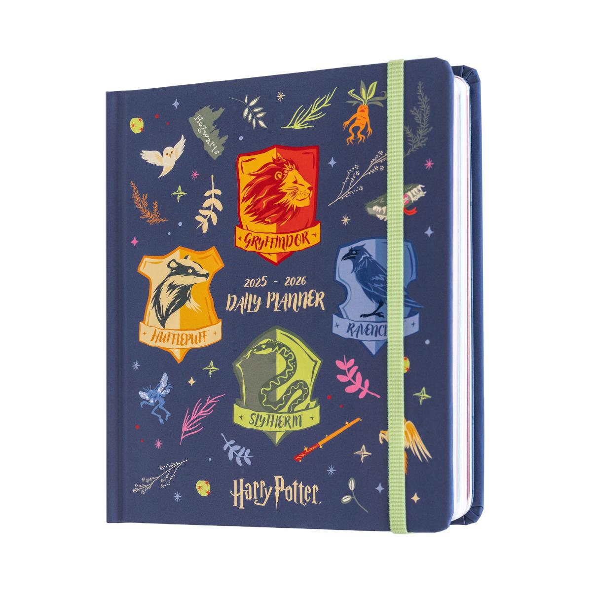 Agenda escolar 2025/2026 día página M con lomo 11 meses Harry Potter Erik azul Azul / Verde-1