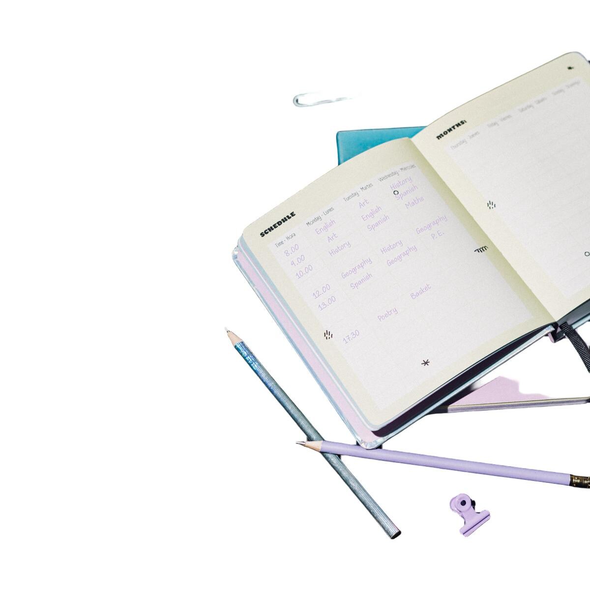 Agenda escolar 2025/2026 día página M con lomo 11 meses Snoopy Erik rosa Rosa / Negro-4