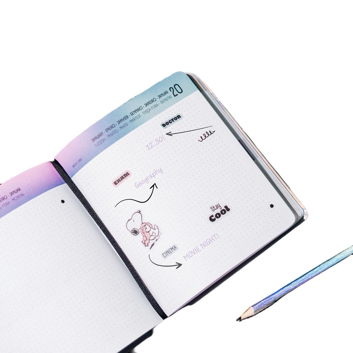 Agenda escolar 2025/2026 día página M con lomo 11 meses Snoopy Erik rosa Rosa / Negro-7