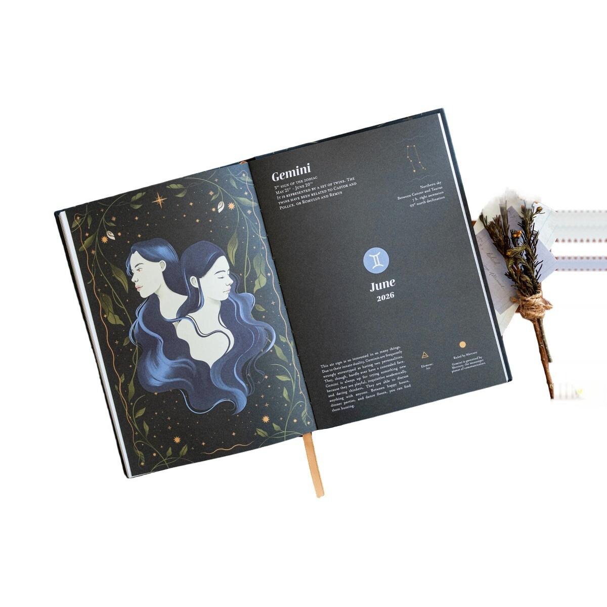 Agenda escolar 2025/2026 semana vista A5 con lomo 17 meses Astral Erik negro Negro / Amarillo-5