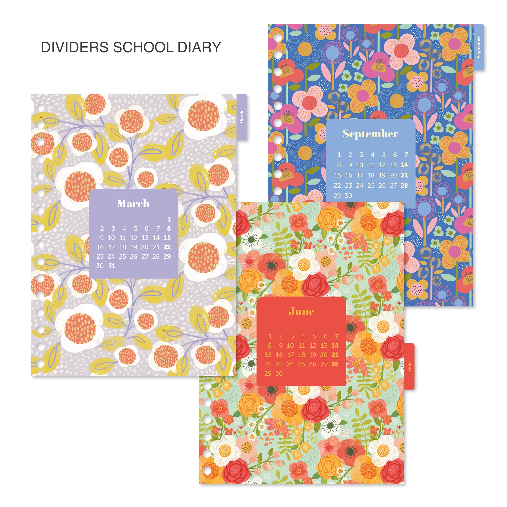 Agenda Escolar Plus Wire-O dia Página Spring Anne 2025-2026 Miquelrius multilingue Multicolor-7