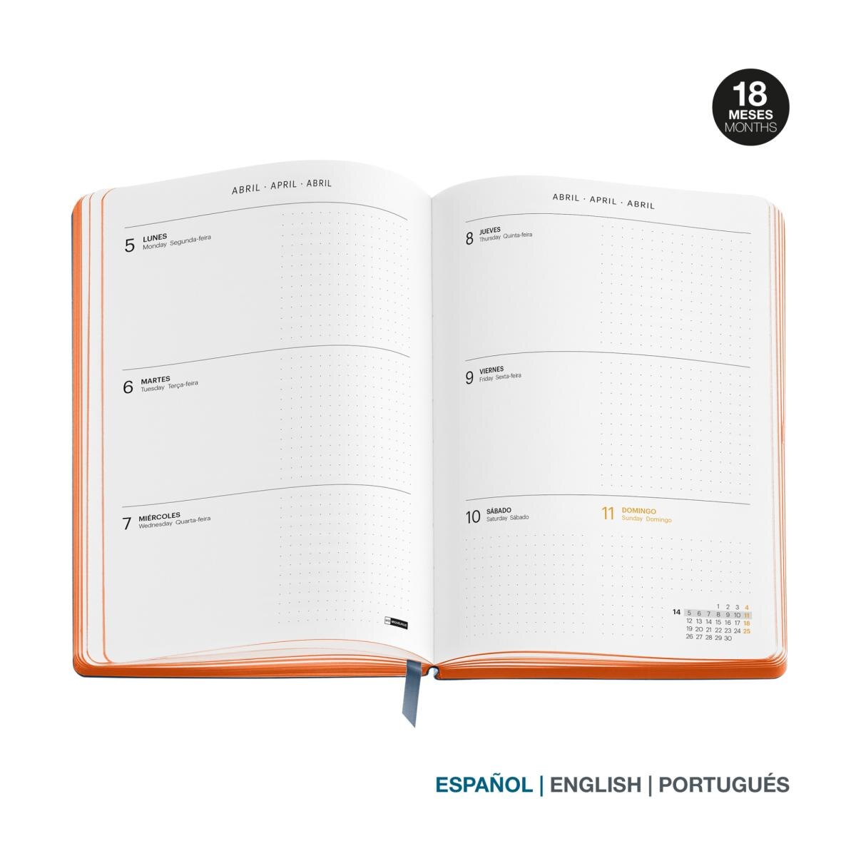 Agenda Escolar 18 Meses Back To Basics 14X19 Semana Vista Marino 2026-27 Miquelrius Azul marino-5