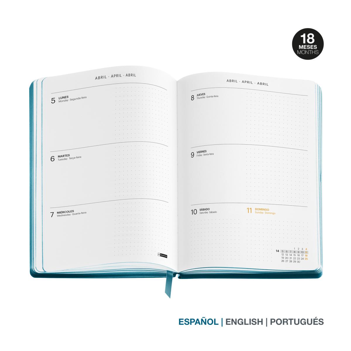 Agenda Escolar 18 Meses Back To Basics 14X19 Semana Vista Petroleo 2026-27 Miquelrius Petróleo-5
